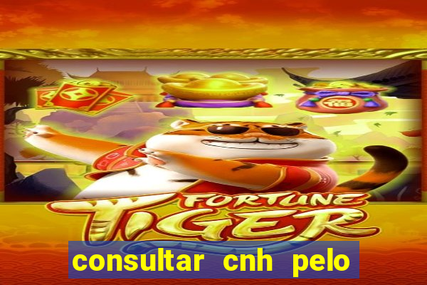 consultar cnh pelo cpf sp